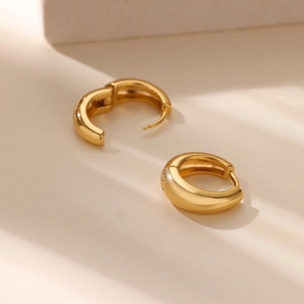 Classic Gold Chunky Hoop Earrings for Women Minimalist Stainless Steel Jewelry 2025 Trend