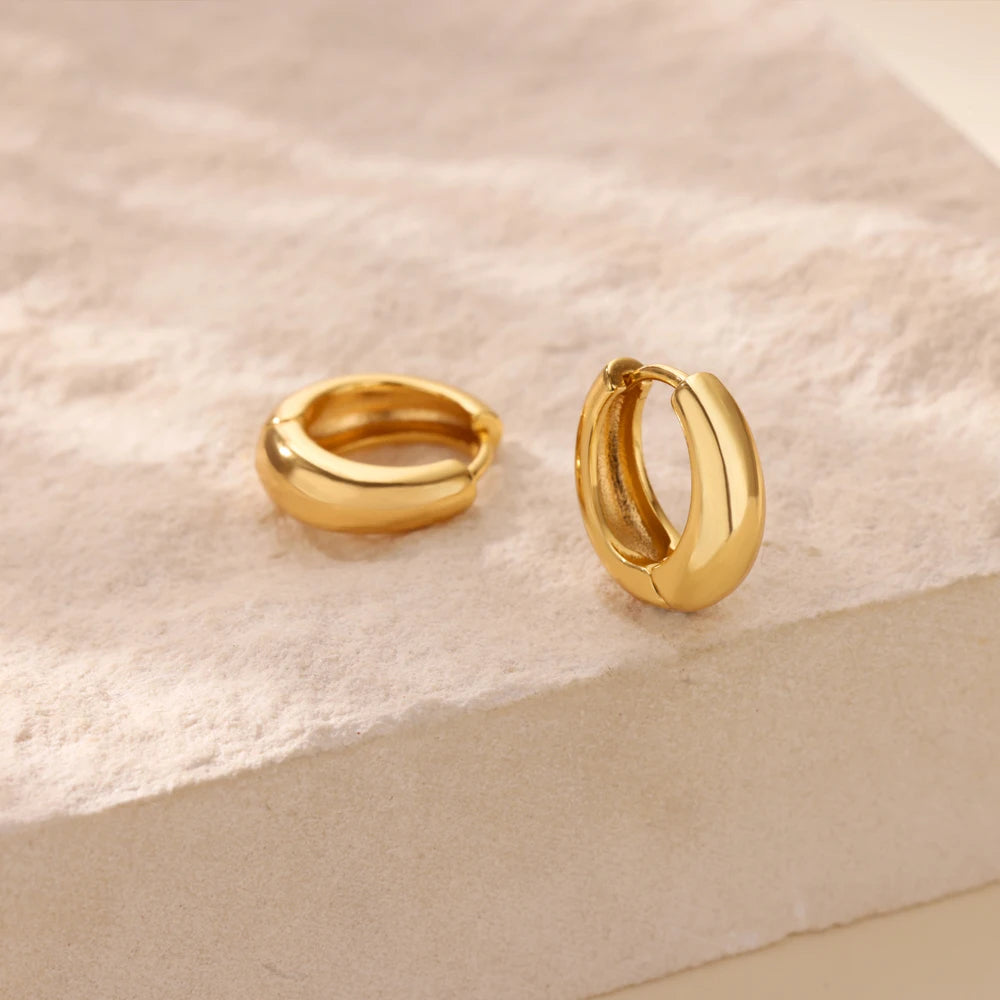 Classic Gold Chunky Hoop Earrings for Women Minimalist Stainless Steel Jewelry 2025 Trend