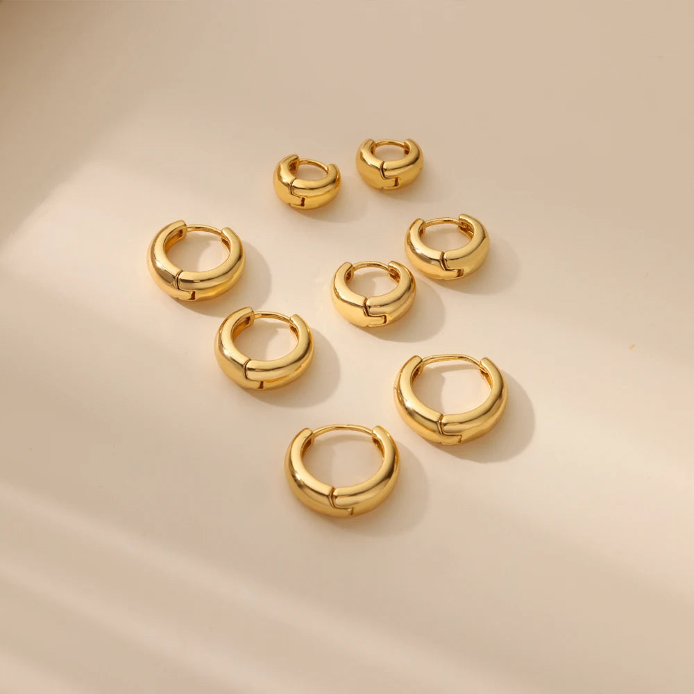 Classic Gold Chunky Hoop Earrings for Women Minimalist Stainless Steel Jewelry 2025 Trend