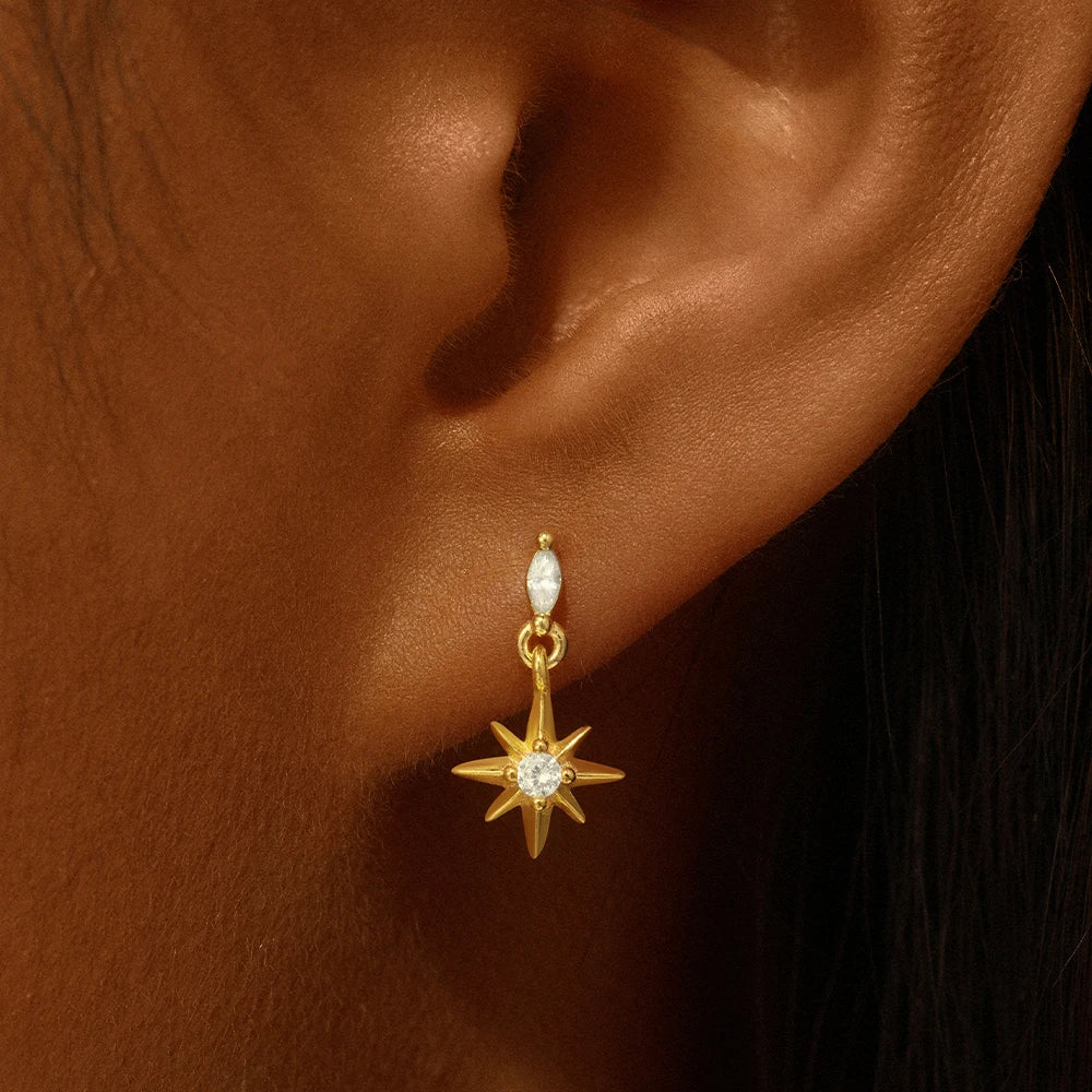 Canner 925 Sterling Silver Tassel Chain Star Mini Zircon Flat Piercing Stud Earrings for Women and Girls