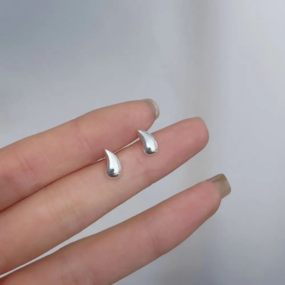 925 Silver Mini Stud Earrings for Women Heart Star Butterfly Dinosaur Design