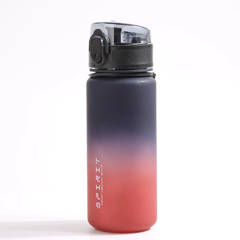 500Ml Frosted Shockproof Water Bottle With Filter Rope