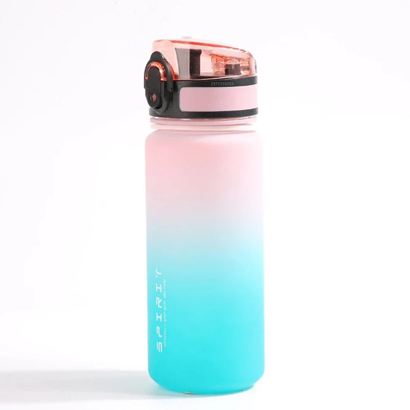 500Ml Frosted Shockproof Water Bottle With Filter Rope