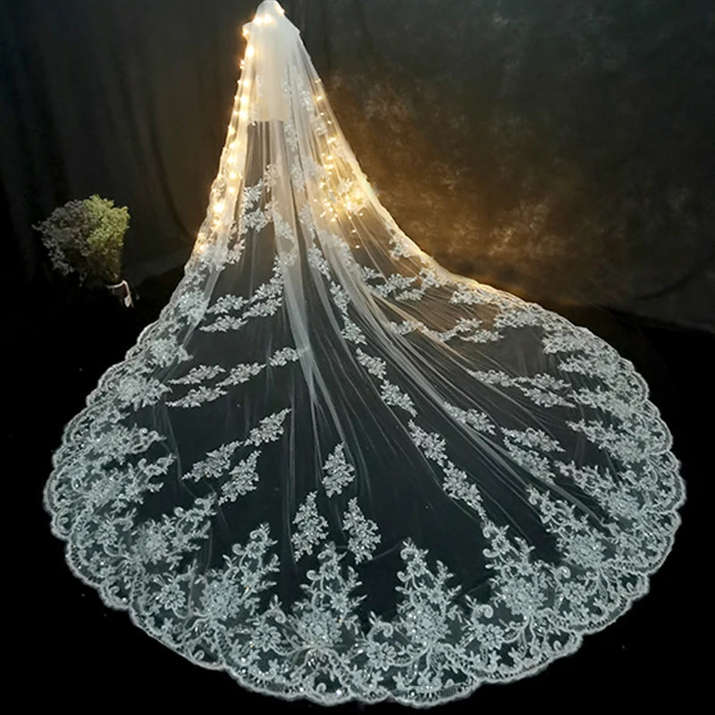 Elegant Cathedral Length Bridal Veil With Lace Edge and Comb
