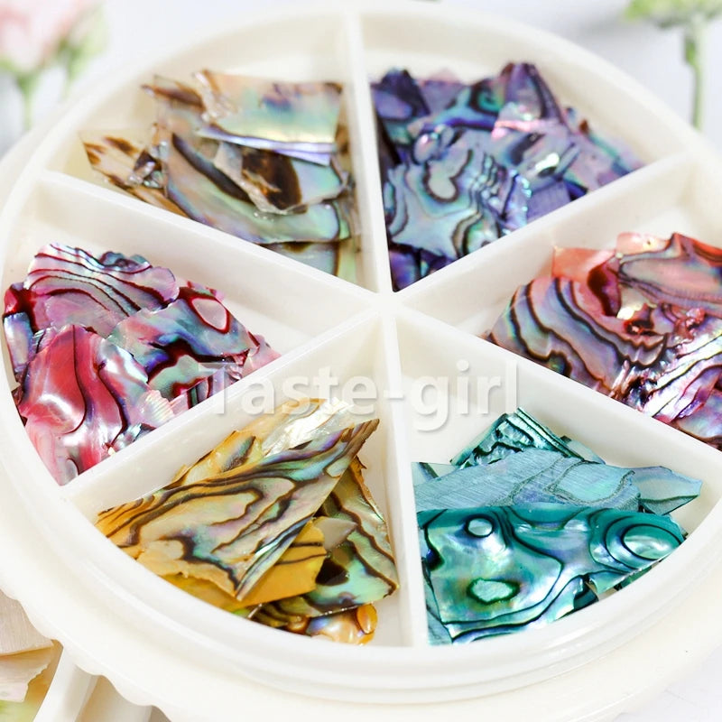 Vibrant 3D Abalone Shell Nail Art Decoration Set for DIY Beauty Salon Creations