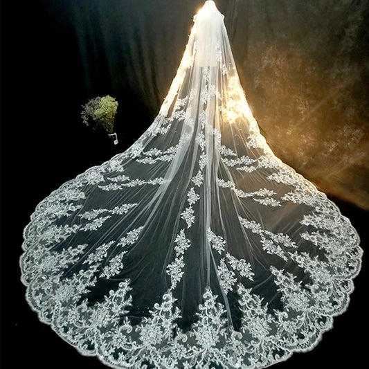Elegant Cathedral Length Bridal Veil With Lace Edge and Comb