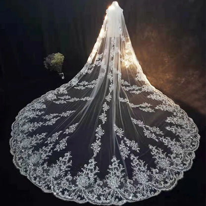 Elegant Cathedral Length Bridal Veil With Lace Edge and Comb