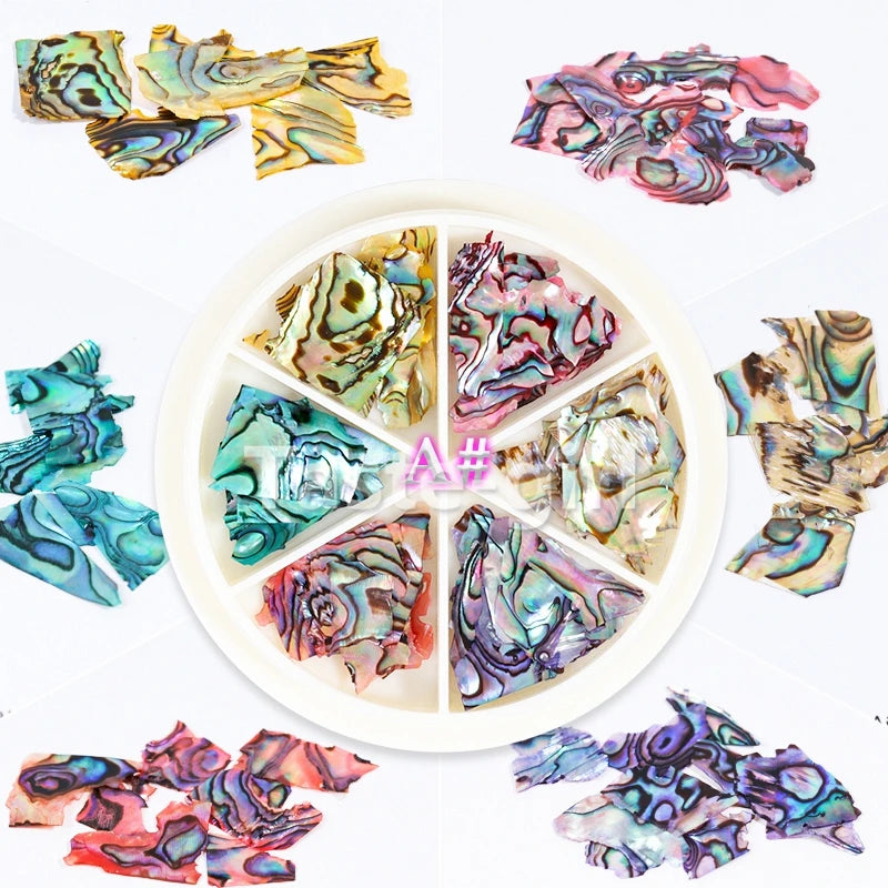 Vibrant 3D Abalone Shell Nail Art Decoration Set for DIY Beauty Salon Creations