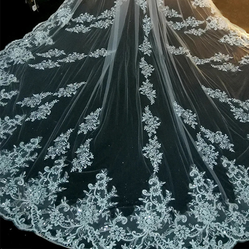 Elegant Cathedral Length Bridal Veil With Lace Edge and Comb