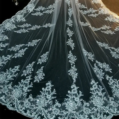 Elegant Cathedral Length Bridal Veil With Lace Edge and Comb