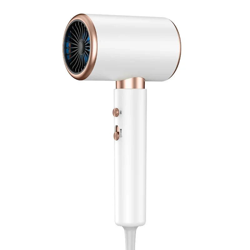 2000W Professional Hair Dryer with Negative Ion Technology