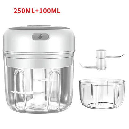 Mini Electric Garlic Chopper with USB Charging - Powerful 100/250mL Ginger Garlic Onion Masher and Meat Crusher