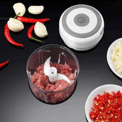 Mini Electric Garlic Chopper with USB Charging - Powerful 100/250mL Ginger Garlic Onion Masher and Meat Crusher