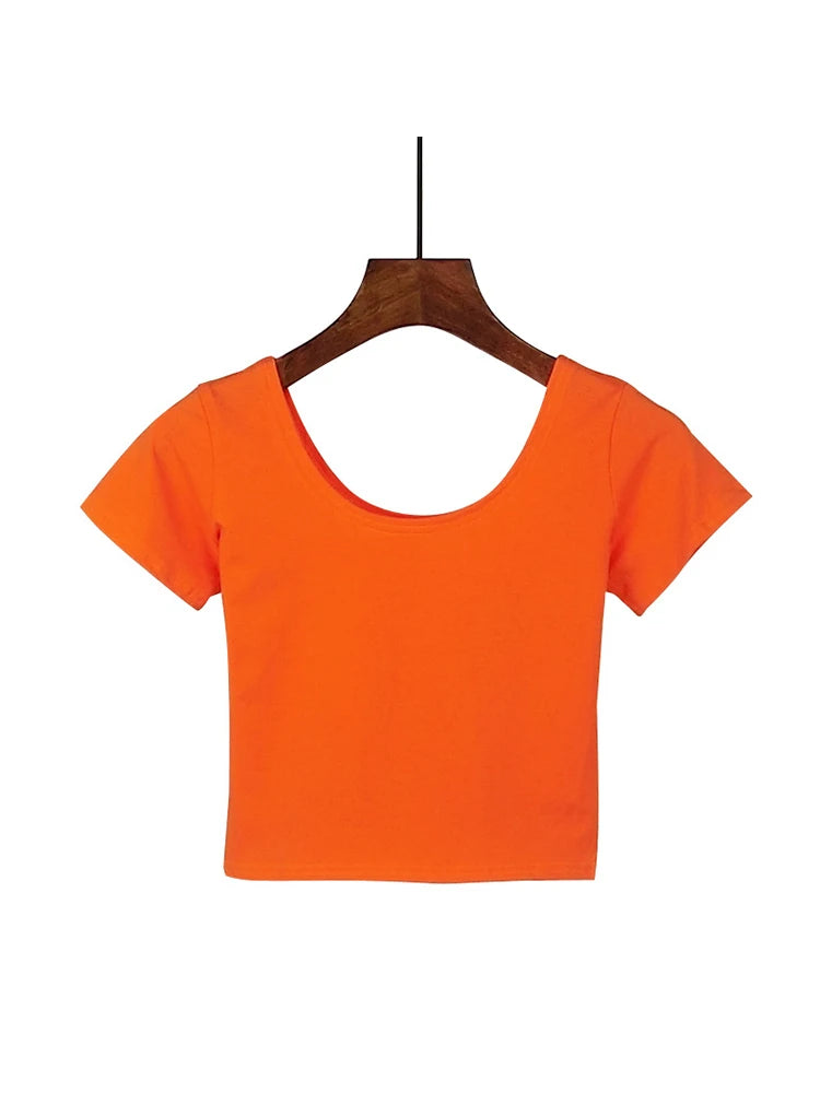 Dozw Solid Crop Top For Women Slim Fit High Waist Tee