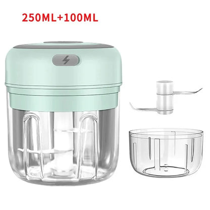 Mini Electric Garlic Chopper with USB Charging - Powerful 100/250mL Ginger Garlic Onion Masher and Meat Crusher