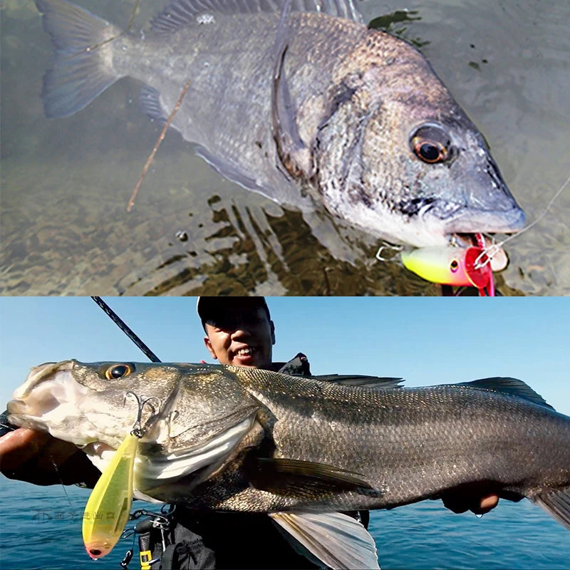 DUEL High Quality Surface Crawling Bionic Lure F1224 Bait F1224-HIW