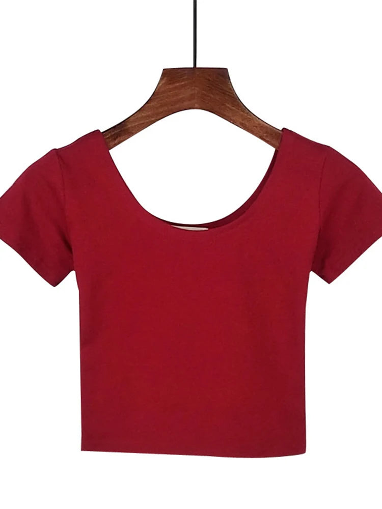 Dozw Solid Crop Top For Women Slim Fit High Waist Tee