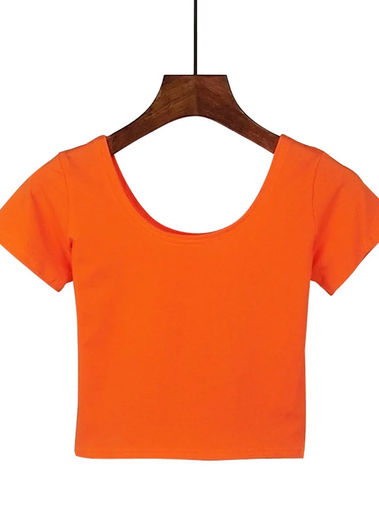 Dozw Solid Crop Top For Women Slim Fit High Waist Tee