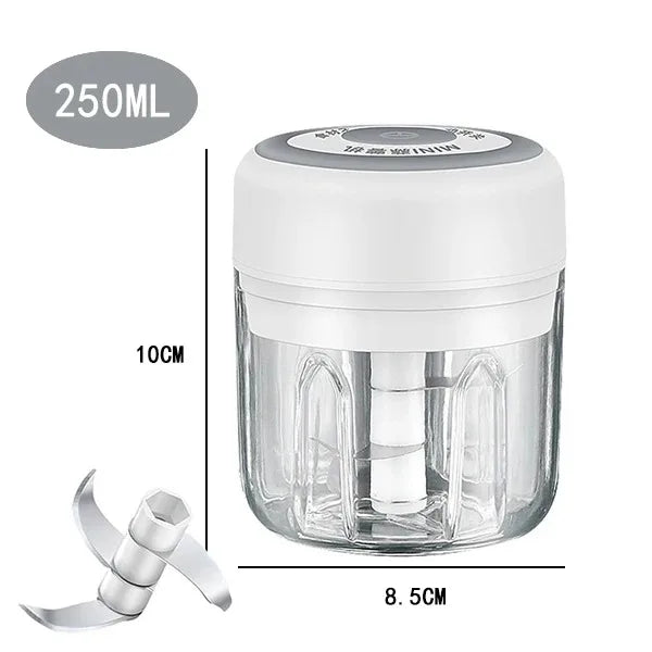 Mini Electric Garlic Chopper with USB Charging - Powerful 100/250mL Ginger Garlic Onion Masher and Meat Crusher