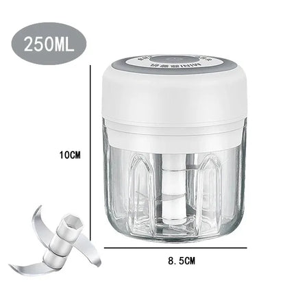 Mini Electric Garlic Chopper with USB Charging - Powerful 100/250mL Ginger Garlic Onion Masher and Meat Crusher