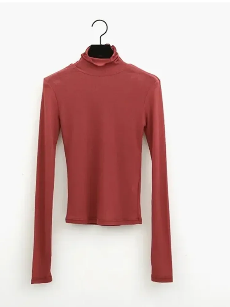 2025 High Quality Slim Sheer Turtleneck Tee For Women