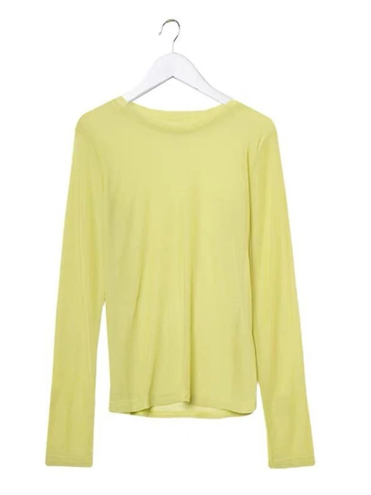 See Through Mesh Long Sleeve Top for Women Pink and Green