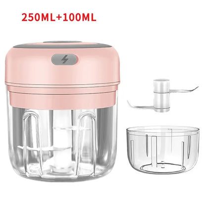 Mini Electric Garlic Chopper with USB Charging - Powerful 100/250mL Ginger Garlic Onion Masher and Meat Crusher