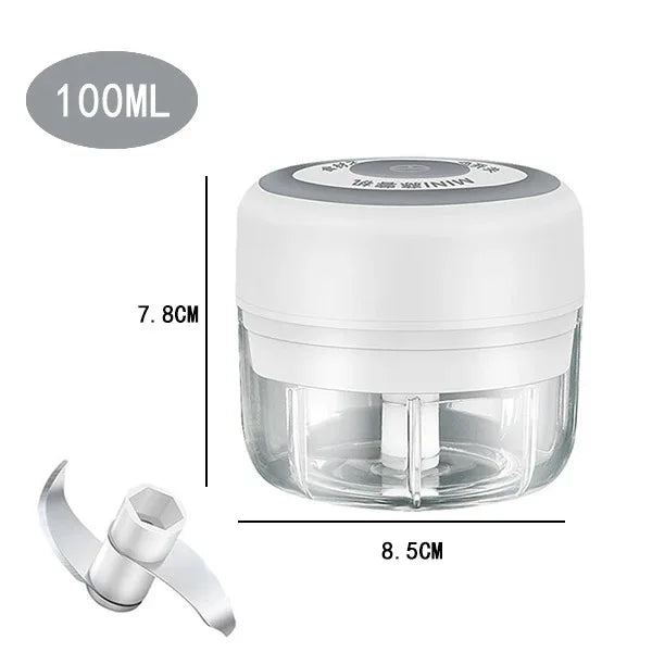 Mini Electric Garlic Chopper with USB Charging - Powerful 100/250mL Ginger Garlic Onion Masher and Meat Crusher