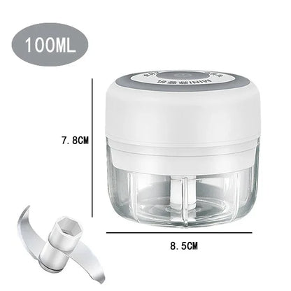 Mini Electric Garlic Chopper with USB Charging - Powerful 100/250mL Ginger Garlic Onion Masher and Meat Crusher