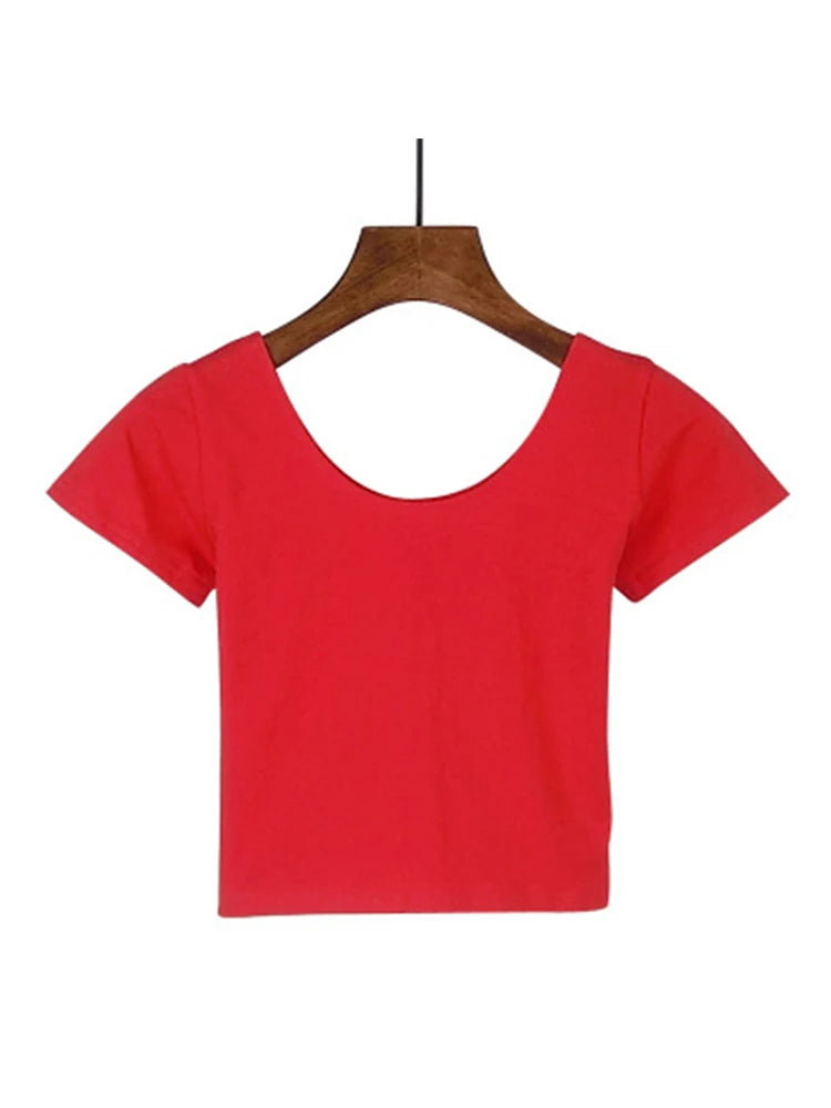 Dozw Solid Crop Top For Women Slim Fit High Waist Tee