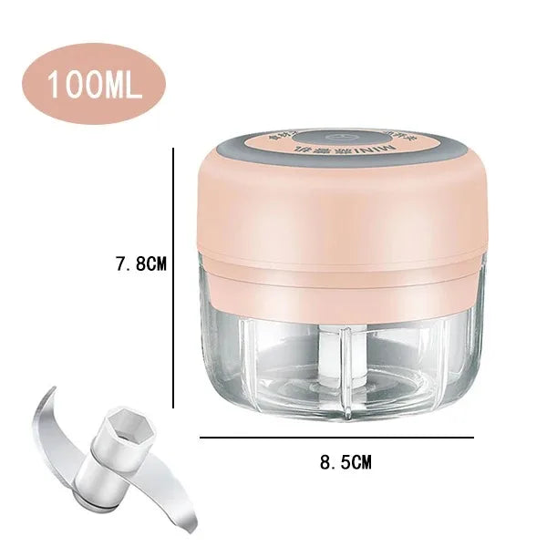 Mini Electric Garlic Chopper with USB Charging - Powerful 100/250mL Ginger Garlic Onion Masher and Meat Crusher