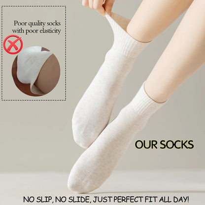3 Pairs Womens All Season Cotton Cushion Mid Calf Socks