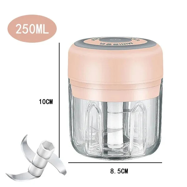 Mini Electric Garlic Chopper with USB Charging - Powerful 100/250mL Ginger Garlic Onion Masher and Meat Crusher