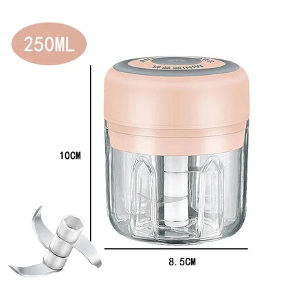 Mini Electric Garlic Chopper with USB Charging - Powerful 100/250mL Ginger Garlic Onion Masher and Meat Crusher