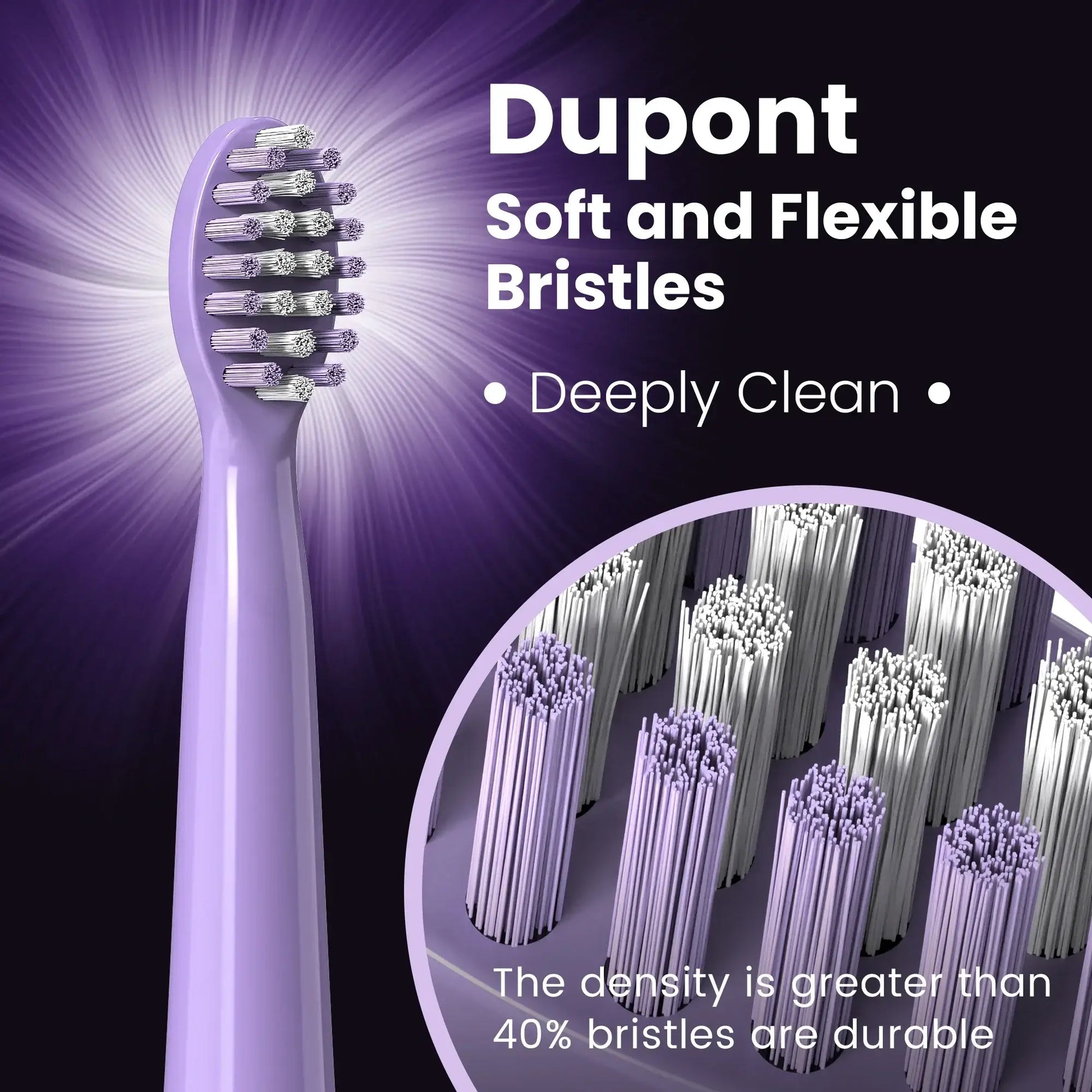 SEJOY Oral Cleaning Sonic Electric Toothbrush with 3 Modes Purple