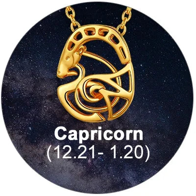 U7 Zodiac Constellations Pendant Necklace Unisex 3D Horoscope Charm Jewelry Gift