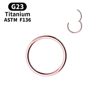 G23 Titanium Hinged Nose Rings for Cartilage Lip Ear Piercing Jewelry S5-1pc-rose