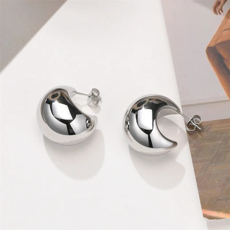 Elegant Silver Ginkgo Leaf Stud Earrings for Women Fashion Jewelry Gift