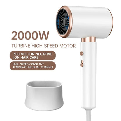 2000W Professional Hair Dryer with Negative Ion Technology