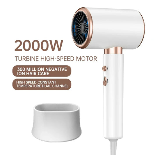 2000W Professional Hair Dryer with Negative Ion Technology