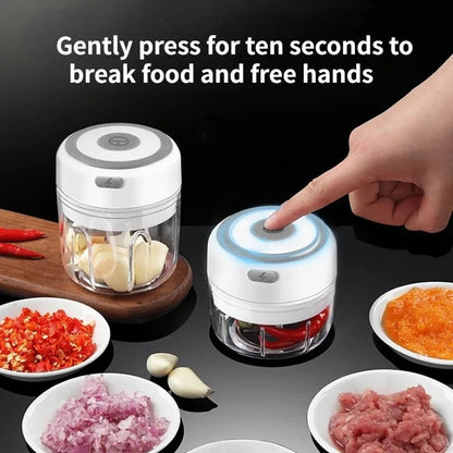 Mini Electric Garlic Chopper with USB Charging - Powerful 100/250mL Ginger Garlic Onion Masher and Meat Crusher